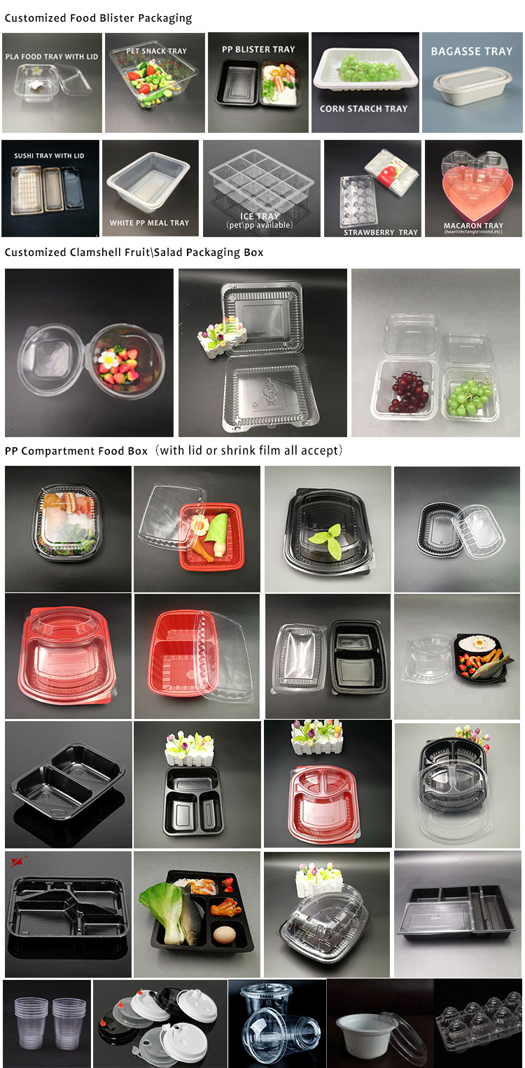 Fornitore di contenitori per alimenti in plastica usa e getta per scatole da pranzo
