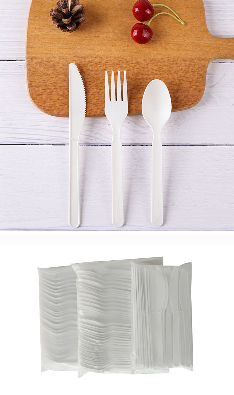 PLA cutlery (6)