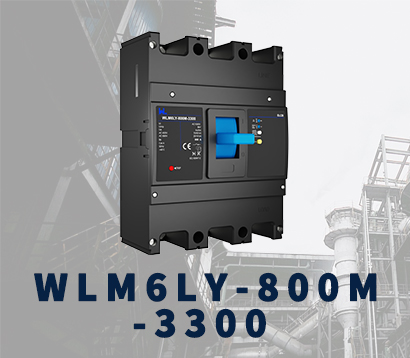 WLM6LY-800A