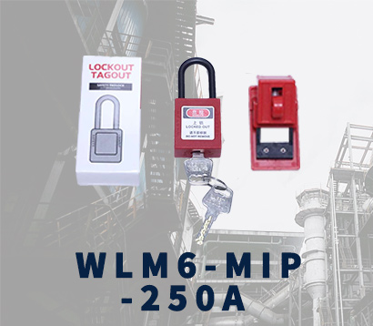 WLM6-एमआईपी-250ए