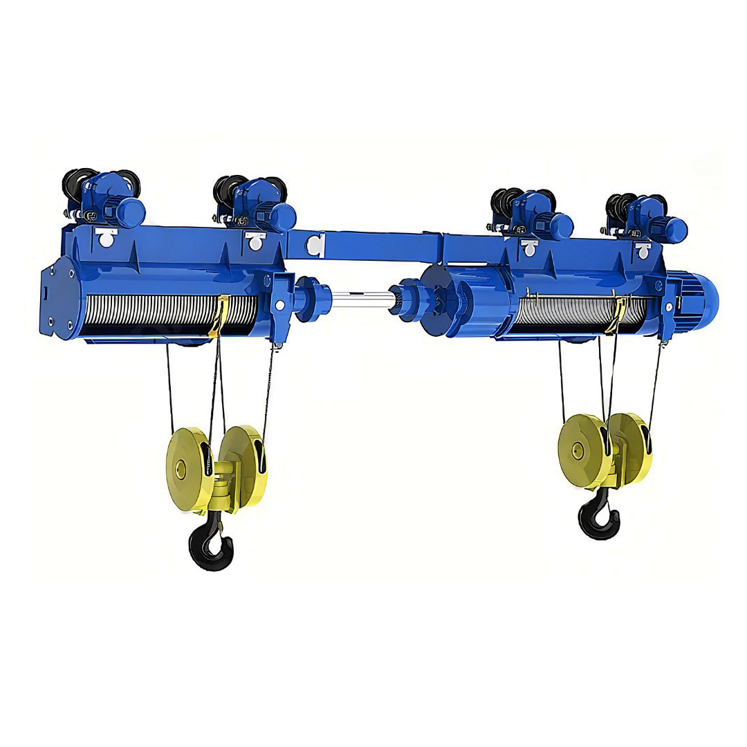 Professional Double Lifting Point Steel Wire Rope Electric Hoists