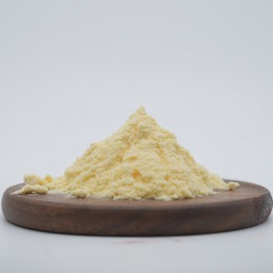Organic Durian Juice Powder