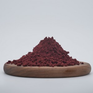 Organic Blackcurrant Powder