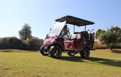 Regali di u Babbu per u 18 di ghjugnu 2023 - Golf Carts
