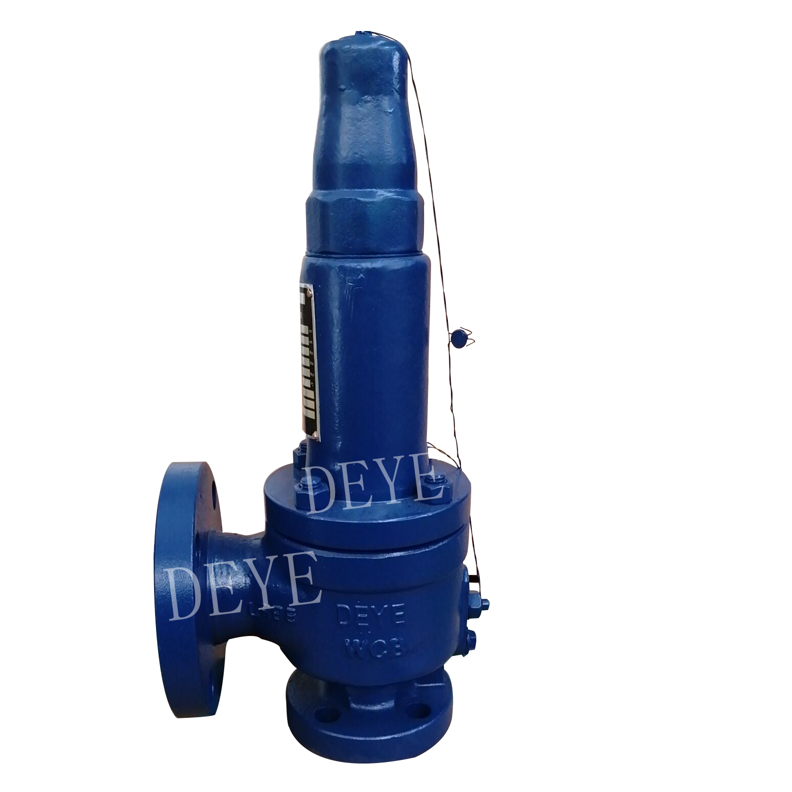 Carbon steel PN25 Safety valve (SV-150-2x3)