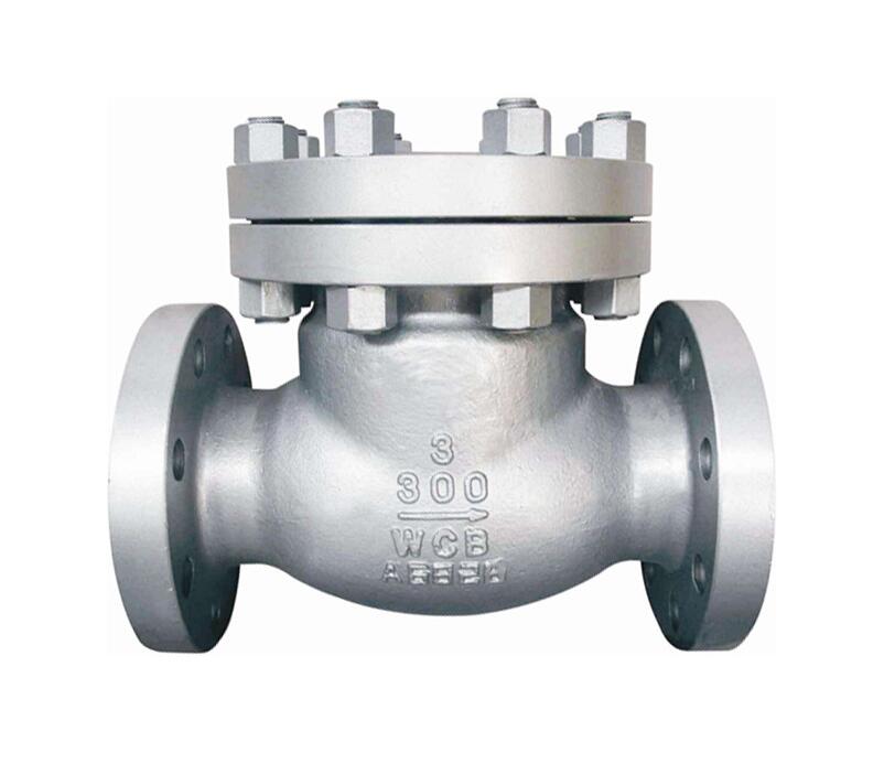 Butt Welded swing check valve with by pass