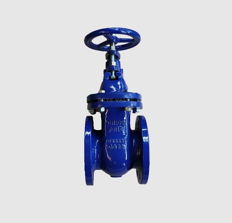 Trending Products Air Valve With Threaded Ends -
 Cast Iron Brass seated BB Gate Valve (GV-D-04) – Deye