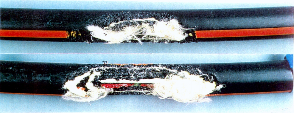  Fig. 4f: Diseño de cable PE/aramida/PE/aramida después de la prueba;  diámetro 21 mm.