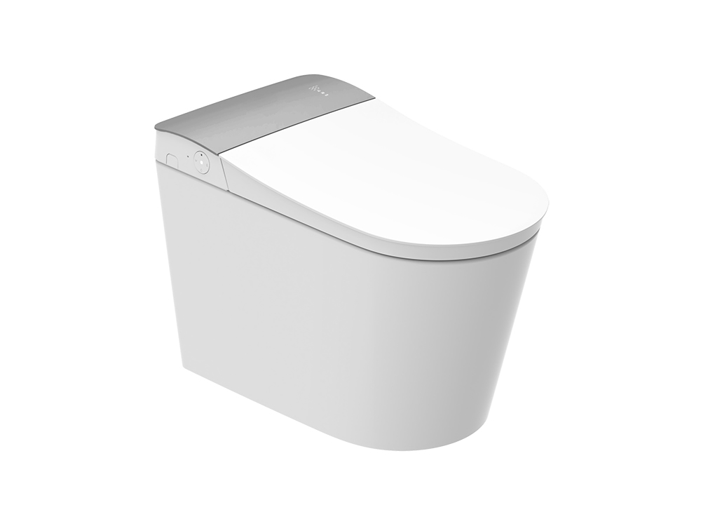 Aquatiz Flowing Curve Smart Toilet B55