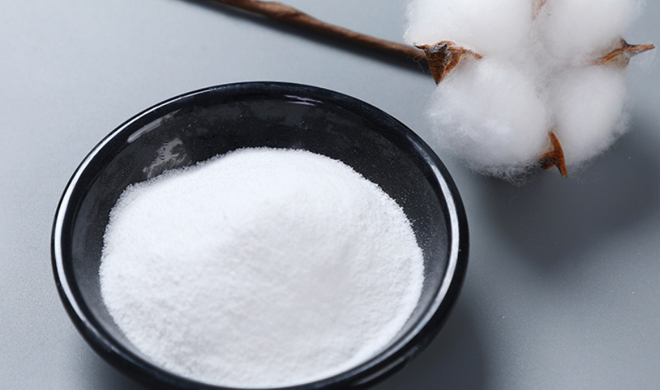 Hydroxypropyl methylcellulose