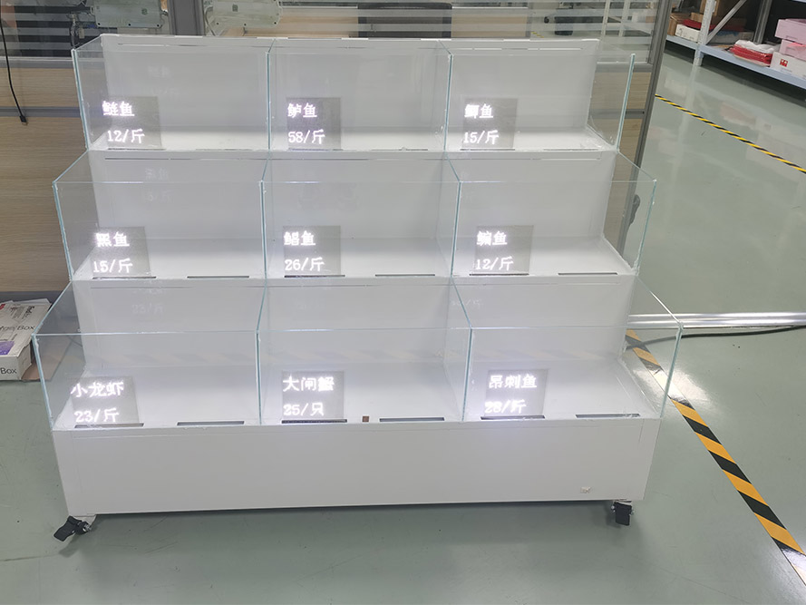 P2.0 Transparent Mini LED Display Screen White—Fish Tank Application