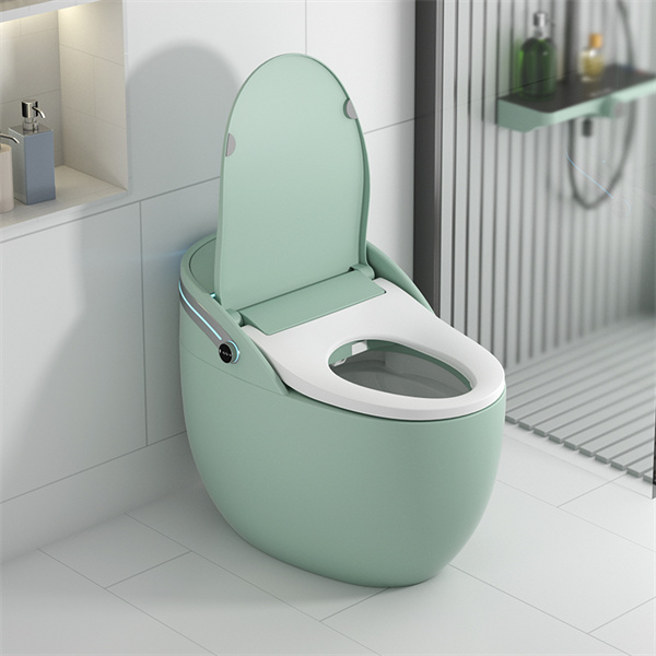 Multifunktionale intelligente Toilette