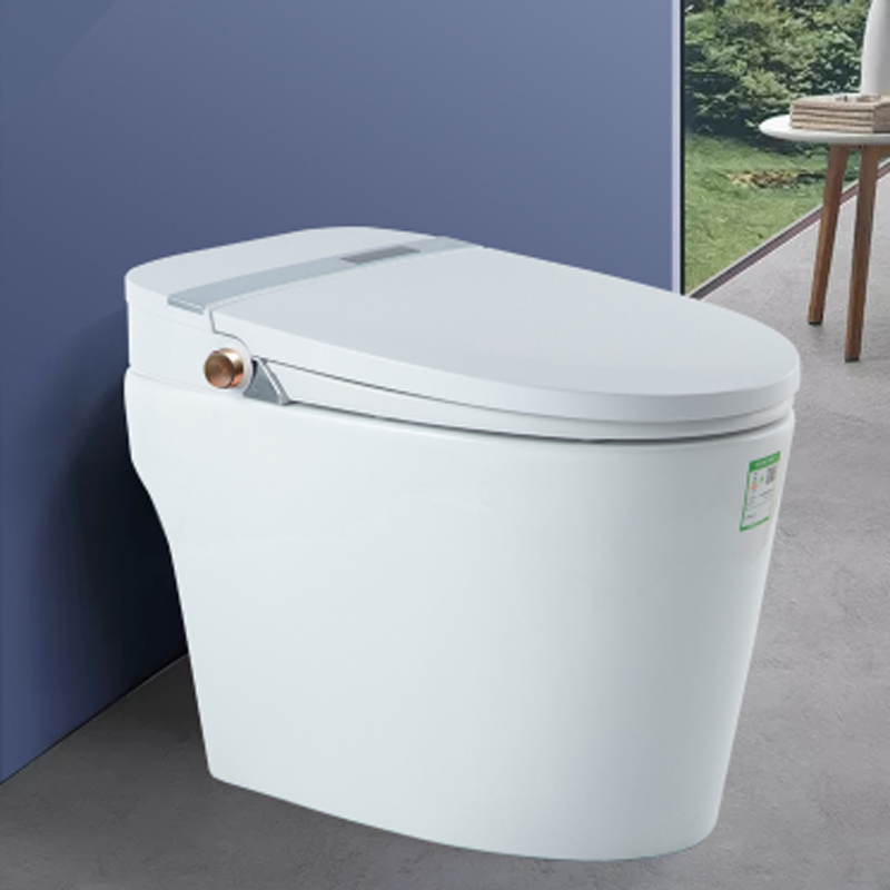 200E series Smart Toilet พลิกอัตโนมัติหลายชั้นกรองสีขาว
