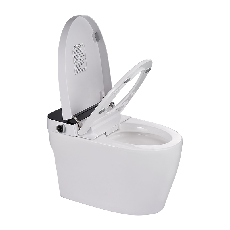 Smart toilet -Y5D-A