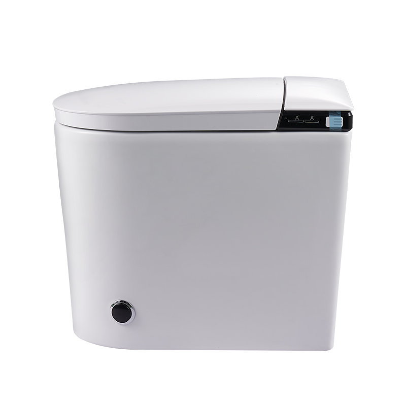Smart toilet -Y5C