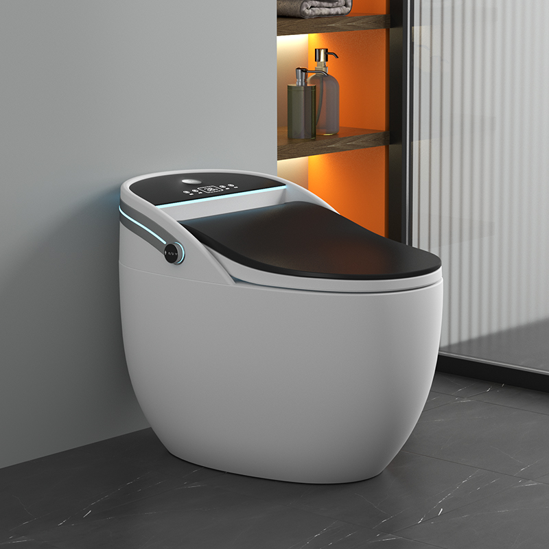 Multi-Function Intelligent toilet