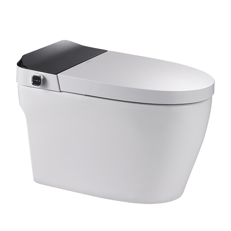 Smart toilet -Y5E-A