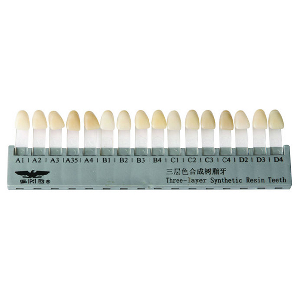 Dental Disposable Multi Layer Synthetic Resin T...