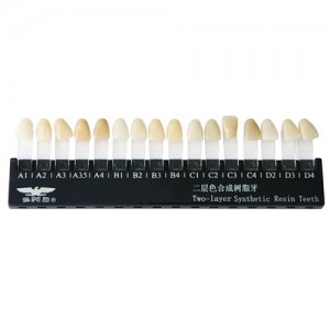 Dentes descartáveis ​​dentais de resina sintética multicamadas (duas/três camadas)