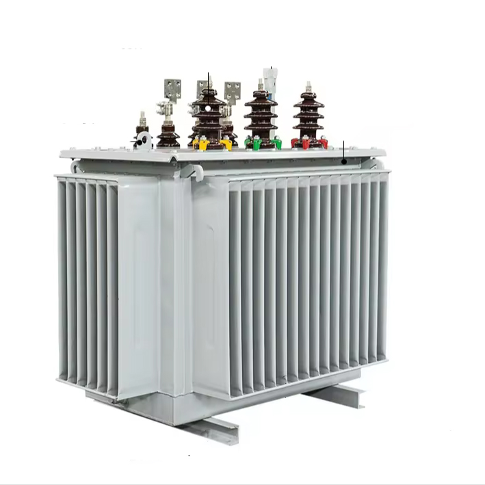 Oil-immerced power transformer S22-M-800/10 Three phase 30kva-2500kva
