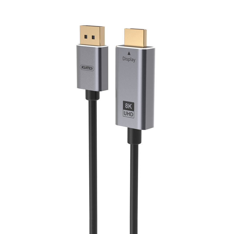 DisplayPort Conversion Cable