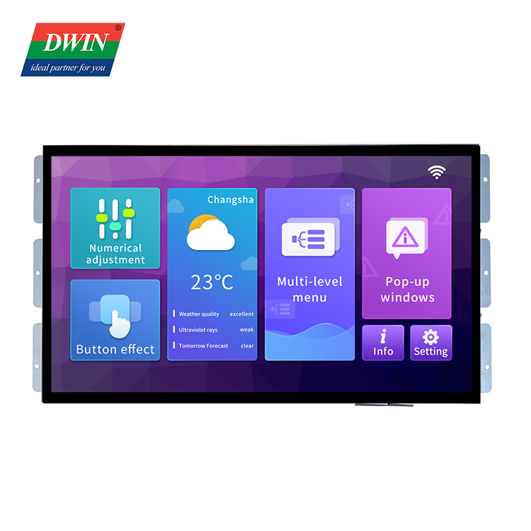 Display touch screen da 18,5" DMG13768C185_03W (grado commerciale)