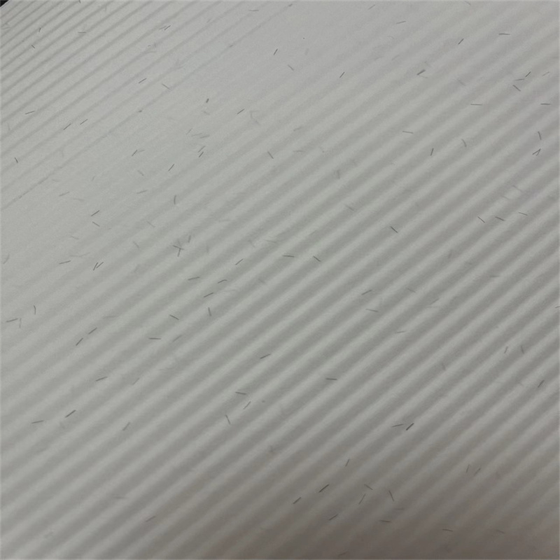Industrieel stofafscheider luchtfilterpapier (vlamvertragend filterpapier / nanovezelfilterpapier)