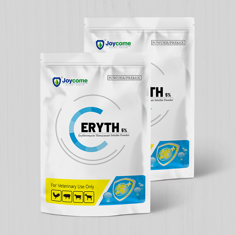 Bột hòa tan Erythromycin Thiocyanate