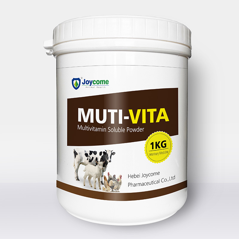 Suplemento alimentario para animales en polvo soluble multivitamínico