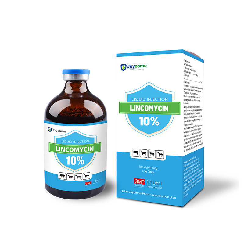 Suntikan HCL Lincomycin 10%