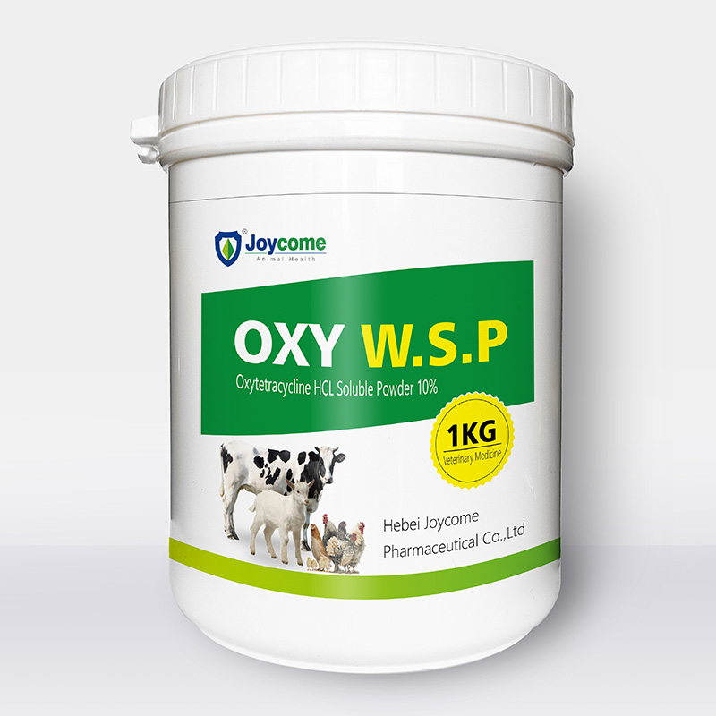 Bột hòa tan Oxytetracycline HCL 10%