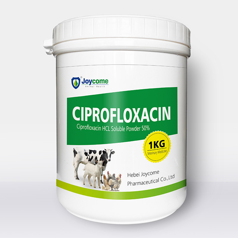 Bột hòa tan Ciprofloxacin HCL 50%