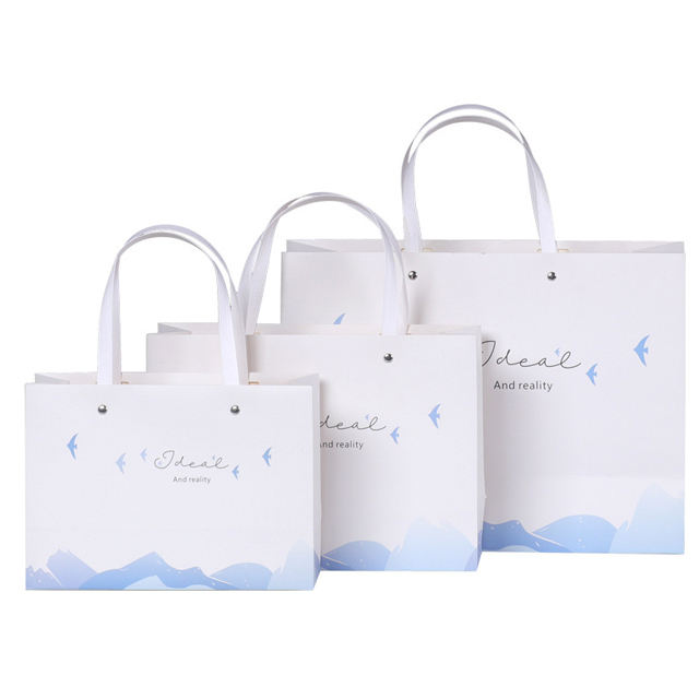 Famous Brand Gift Custom Printed Shopping Paper Bag (5)s19
