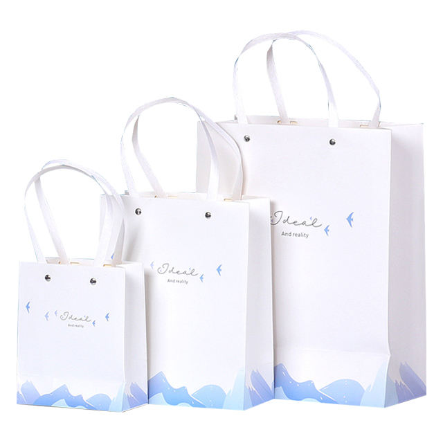 Famous Brand Gift Custom Printed Shopping Paper Bag