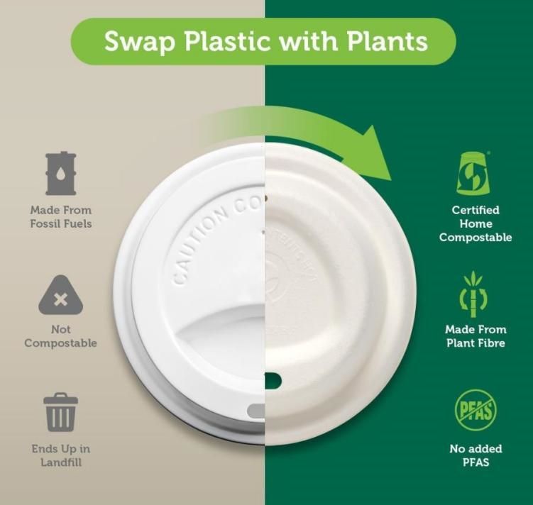 Awi vs Plastik Disposables - Pro & Kontra