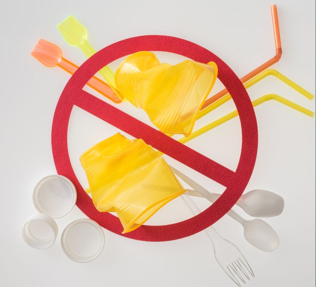 Perché dovrebbe esserci un divieto generale sulla produzione di prodotti in plastica monouso?