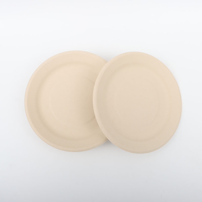 8inch party supplies biodegradable disposable plate1