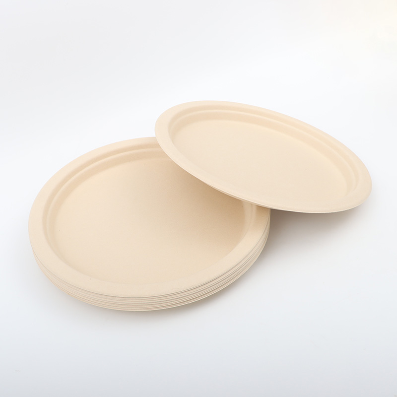 10inch sustainable ramah-eco disposable plate1