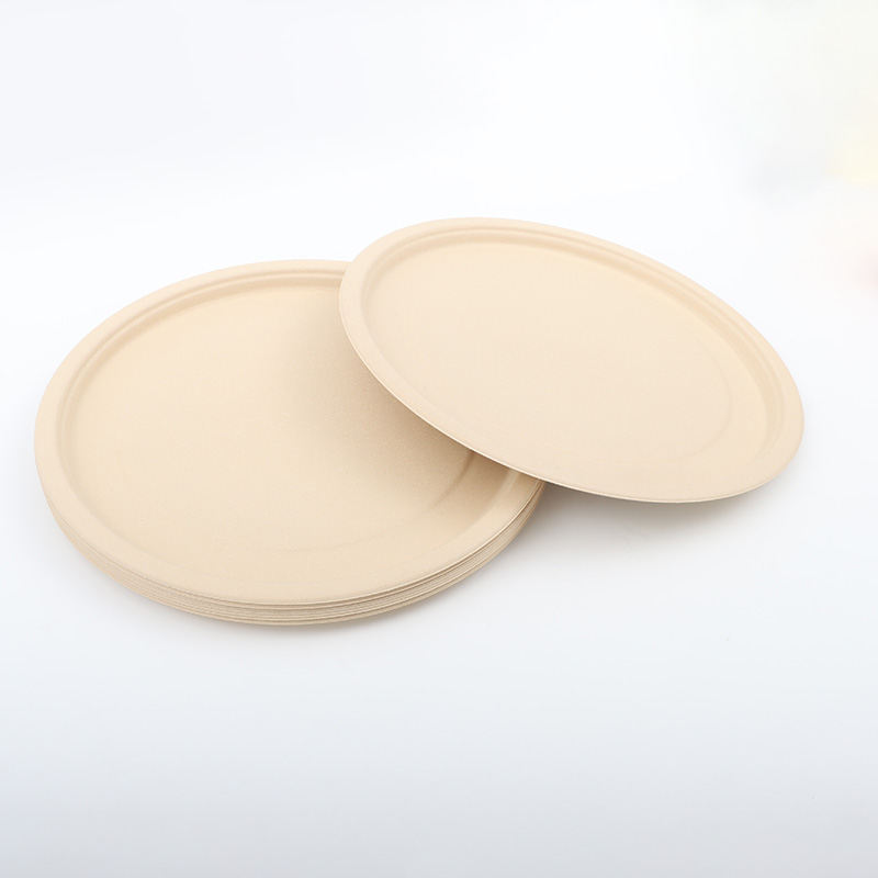 12inch na bamboo pulp material eco-friendly na disposable plate1