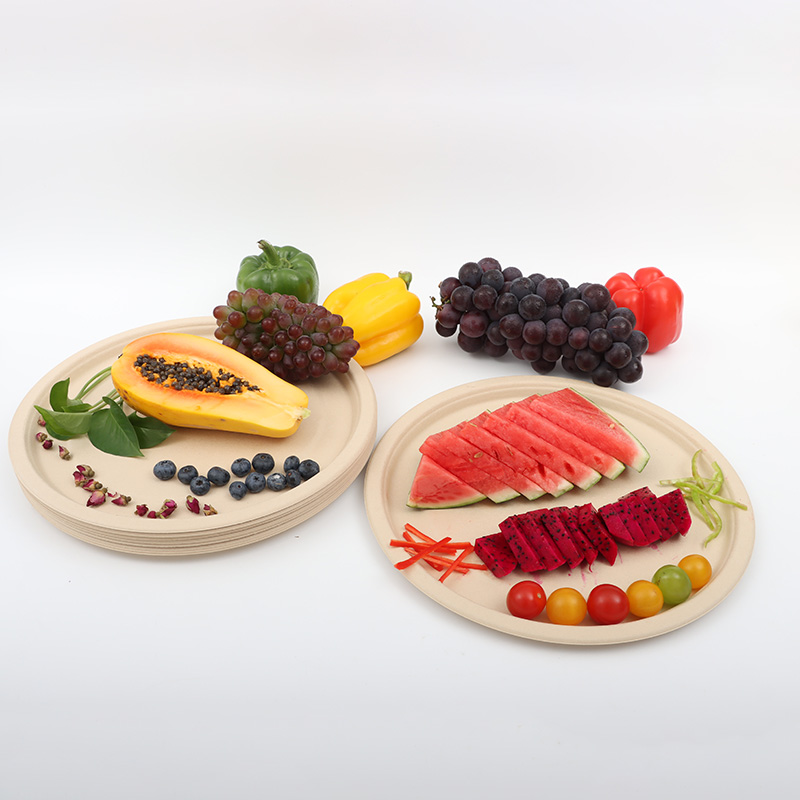 12inch bamboo pulp eco-friendly plate2