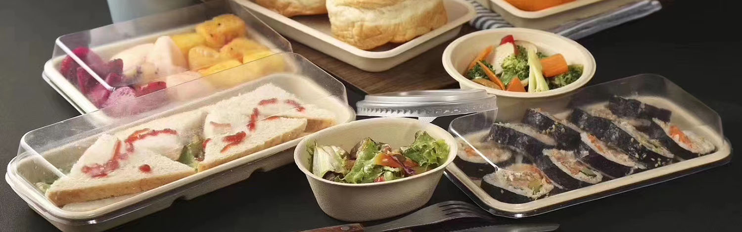 Take-away airplane meals Working meals2pg