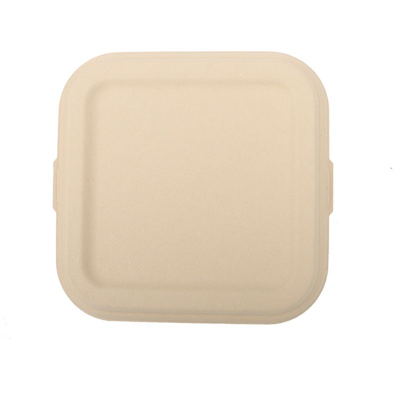 Biodegradable Molded bamboo pulp Square Lunch Box Lid