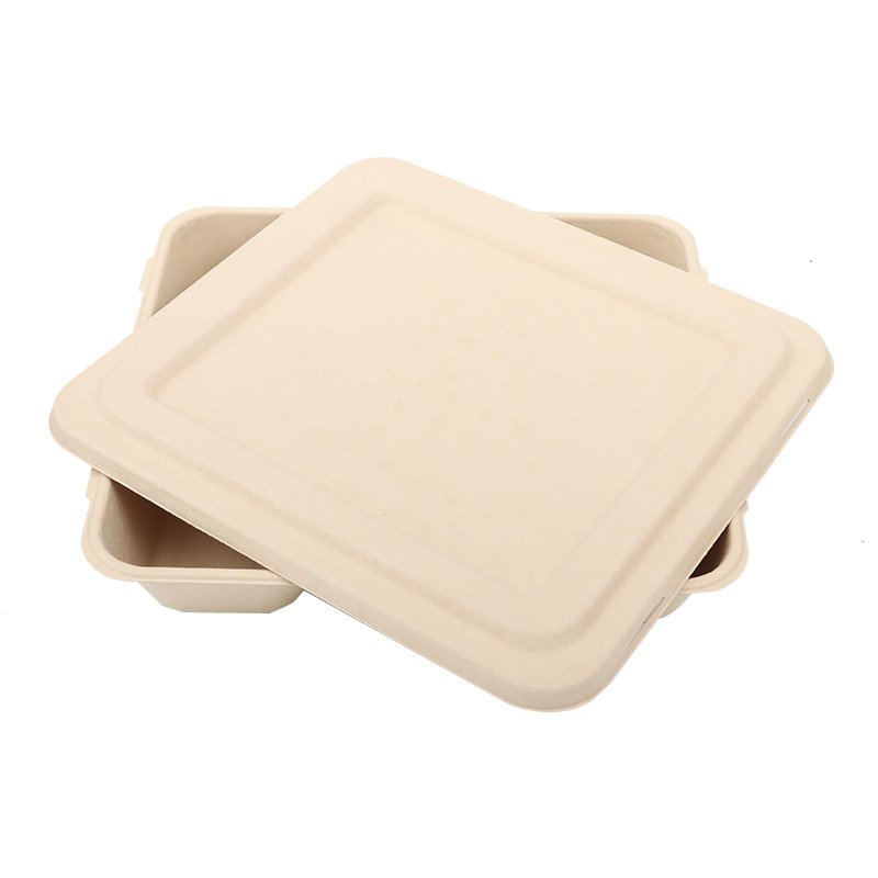 Biodegradable OEM/ODM Bamboo pulp  4-compartment Tray Lid