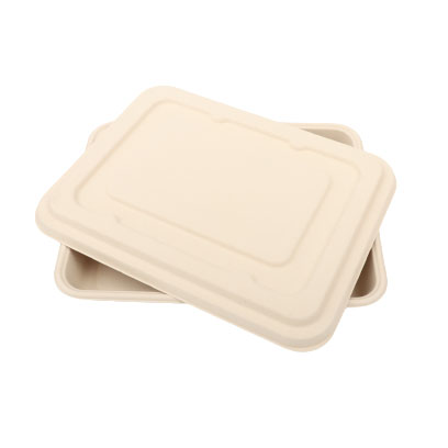Compostable Molded Pulp 5-compartment Tray Lid