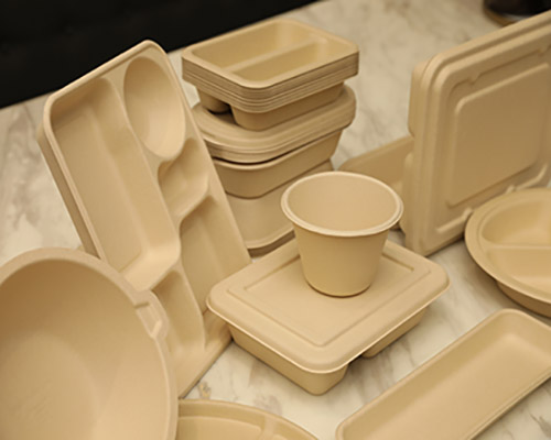 What Material Is Best For a Bento Box? Disposable Bamboo Pulp Tableware Advantage