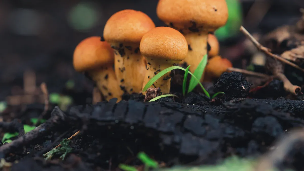 潮汐式灌溉与基质式灌溉：能源效率分析