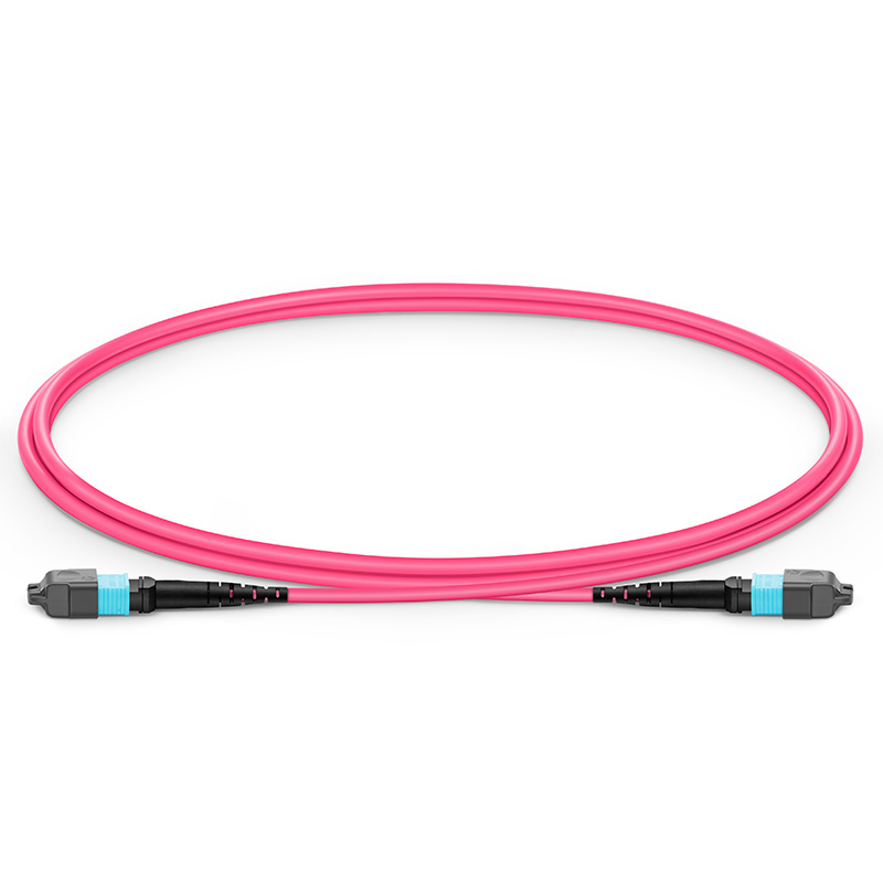 MTP®-12 (Female) to MTP®-12 (Female) OM4 Multimode Elite Trunk Cable, 12 Fibers, Type B, Plenum (OFNP), Magenta