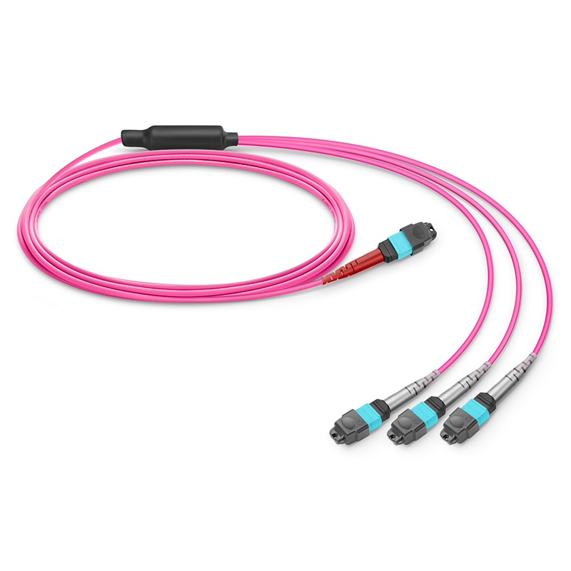 MTP®-24 (Female) to 3 x MTP®-8 (Female) OM4 Multimode Conversion Harness Cable, 24 Fibers, Type B, Plenum (OFNP), Magenta