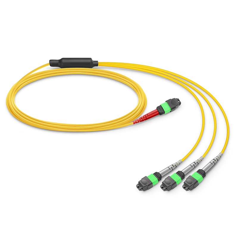 MTP®-24 (Female) to 3 x MTP®-8 (Female) OS2 Single Mode Conversion Harness Cable, 24 Fibers, Type B, Plenum (OFNP), Yellow