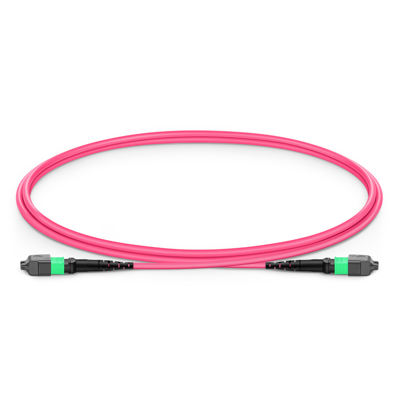 MTP®-12 APC (Female) to MTP®-12 APC (Female) OM4 Multimode Elite Trunk Cable, 12 Fibers, Type B, Plenum (OFNP), Magenta